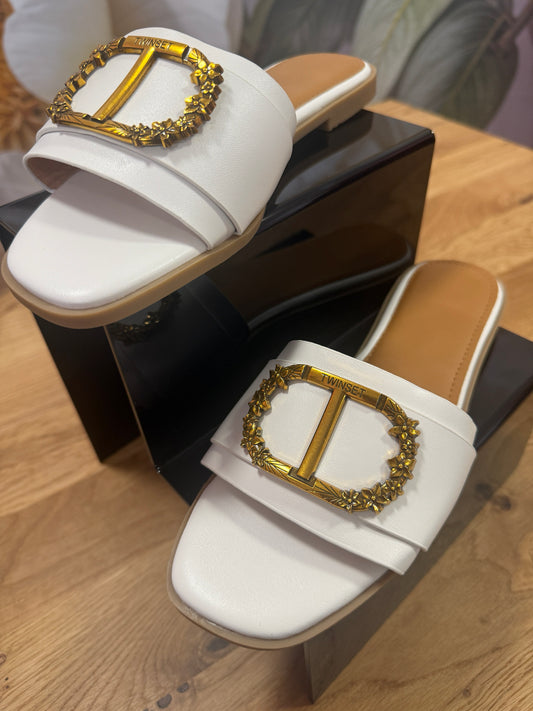 White flat sliders  snowdrop